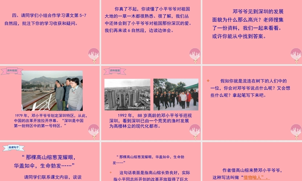 六年级语文上册 第6课 那棵高山榕课件3 西师大版-西师大版小学六年级上册语文课件