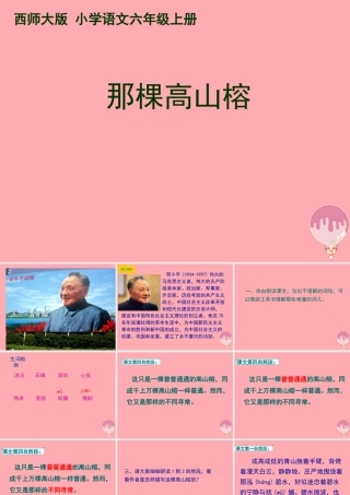 六年级语文上册 第6课 那棵高山榕课件3 西师大版-西师大版小学六年级上册语文课件