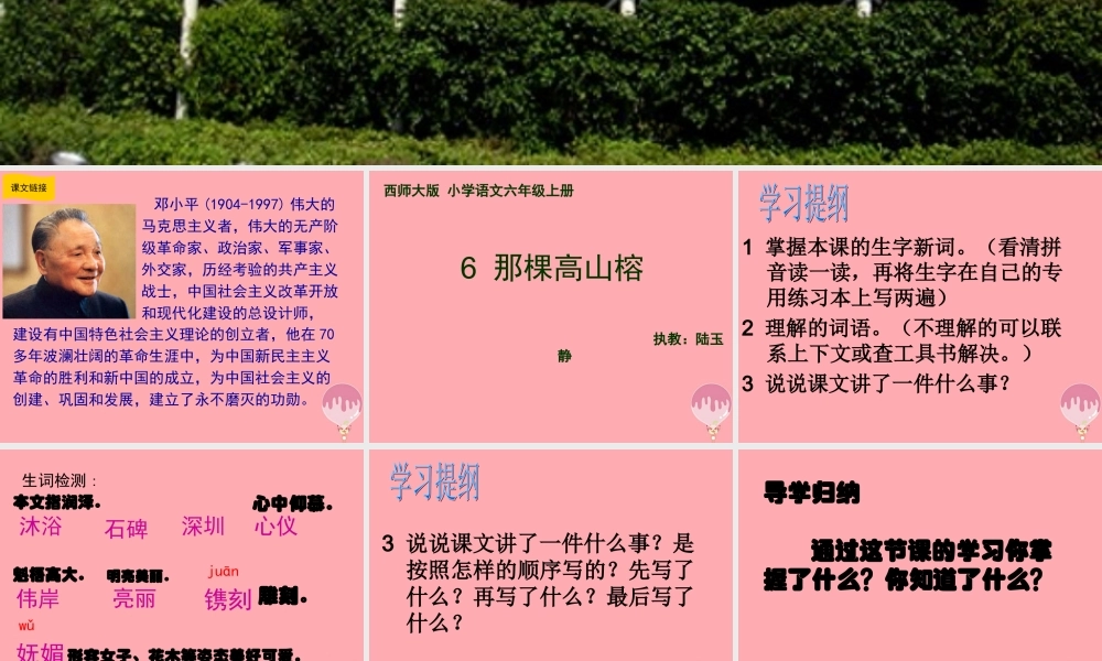 六年级语文上册 第6课 那棵高山榕课件4 西师大版-西师大版小学六年级上册语文课件