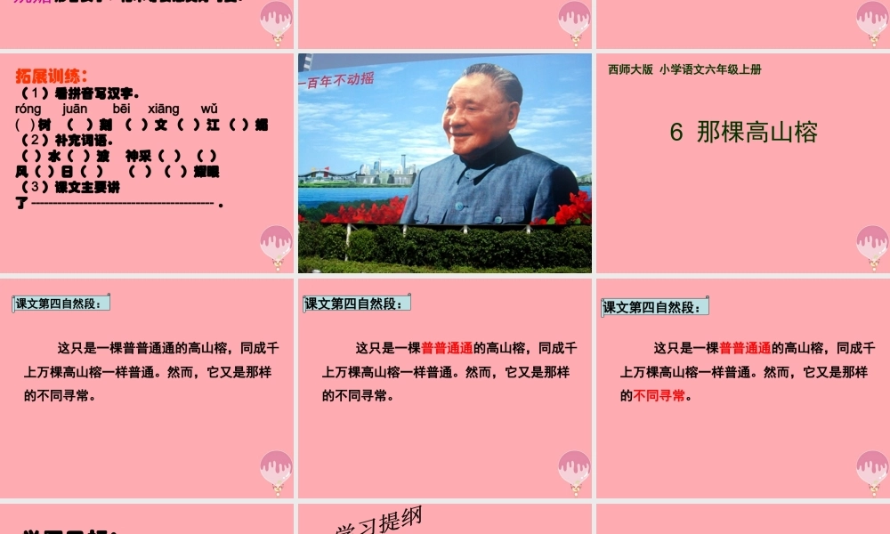 六年级语文上册 第6课 那棵高山榕课件4 西师大版-西师大版小学六年级上册语文课件