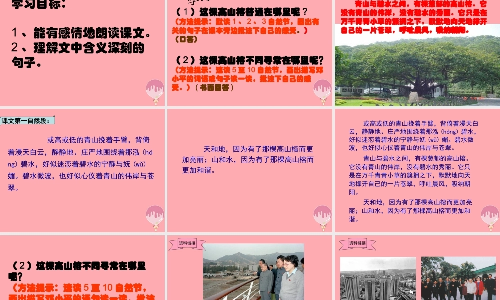 六年级语文上册 第6课 那棵高山榕课件4 西师大版-西师大版小学六年级上册语文课件