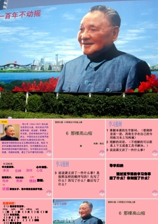 六年级语文上册 第6课 那棵高山榕课件4 西师大版-西师大版小学六年级上册语文课件