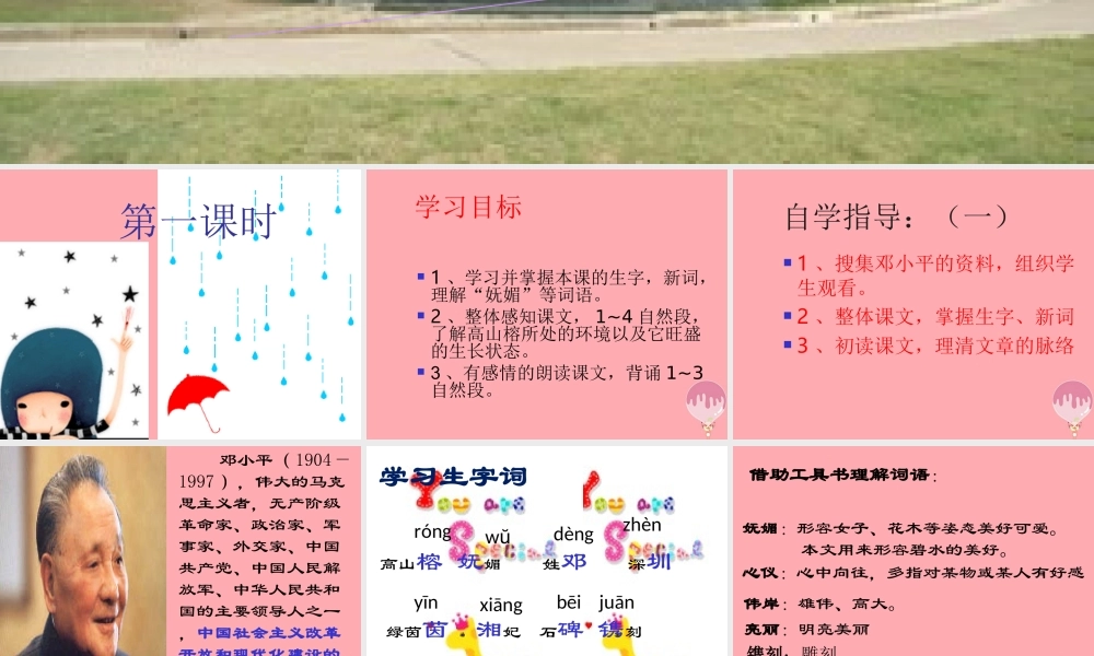 六年级语文上册 第6课 那棵高山榕课件5 西师大版-西师大版小学六年级上册语文课件