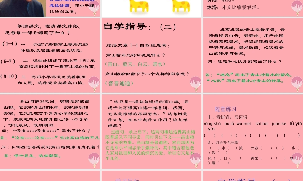 六年级语文上册 第6课 那棵高山榕课件5 西师大版-西师大版小学六年级上册语文课件