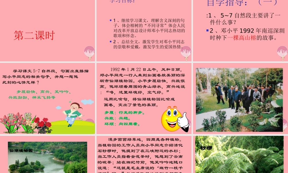 六年级语文上册 第6课 那棵高山榕课件5 西师大版-西师大版小学六年级上册语文课件