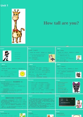 六年级英语下册 Unit 1 How tall are you（第2课时）课件 人教PEP版-人教PEP小学六年级下册英语课件