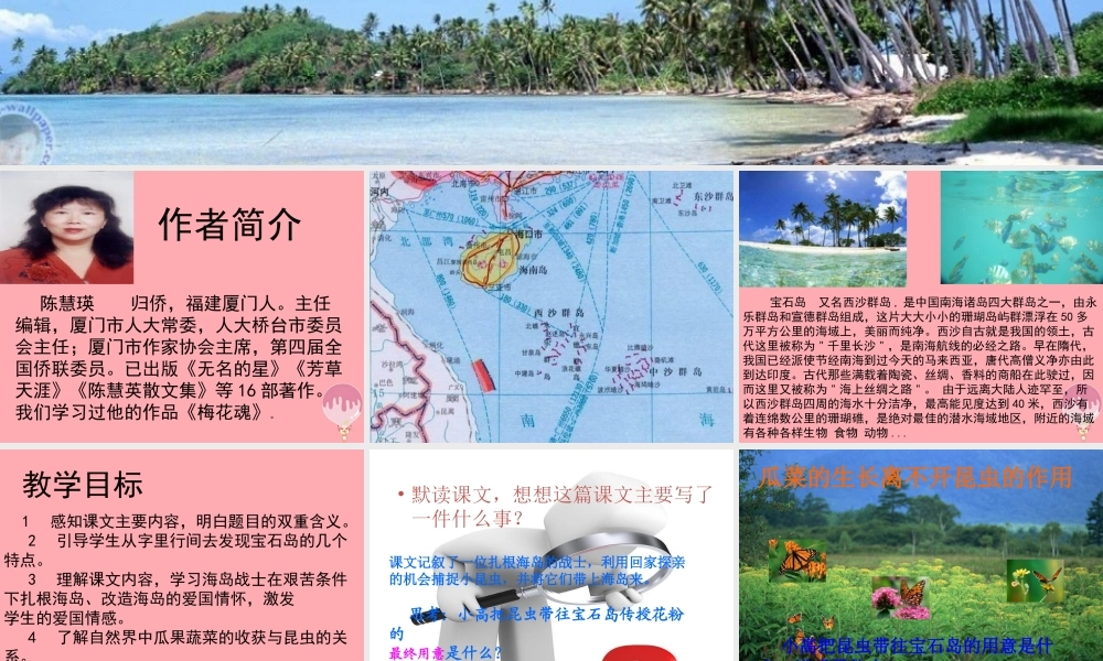 六年级语文上册 第7课 彩色的翅膀1课件 新人教版-新人教版小学六年级上册语文课件