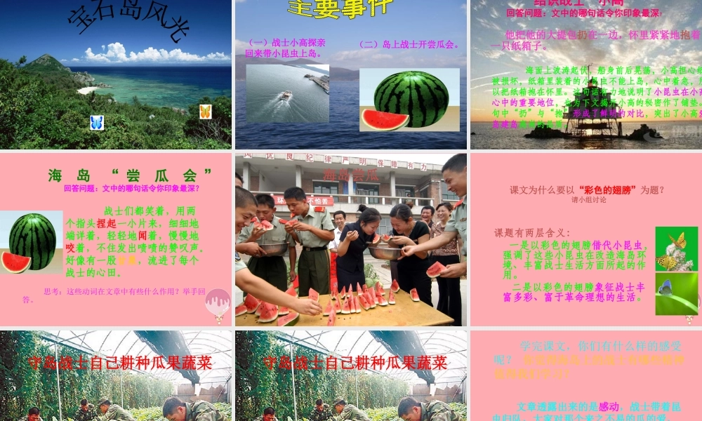 六年级语文上册 第7课 彩色的翅膀1课件 新人教版-新人教版小学六年级上册语文课件