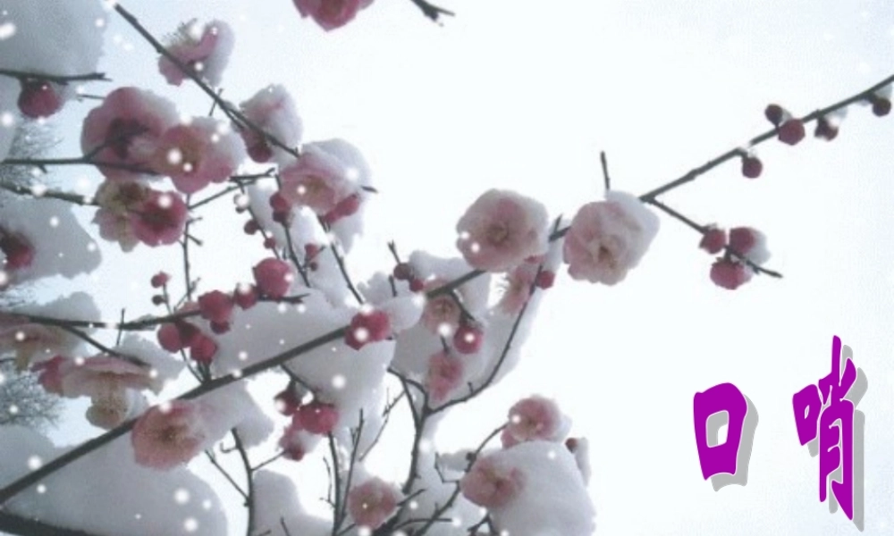 六年级语文上册 第7课《口哨》课件2 沪教版-沪教版小学六年级上册语文课件