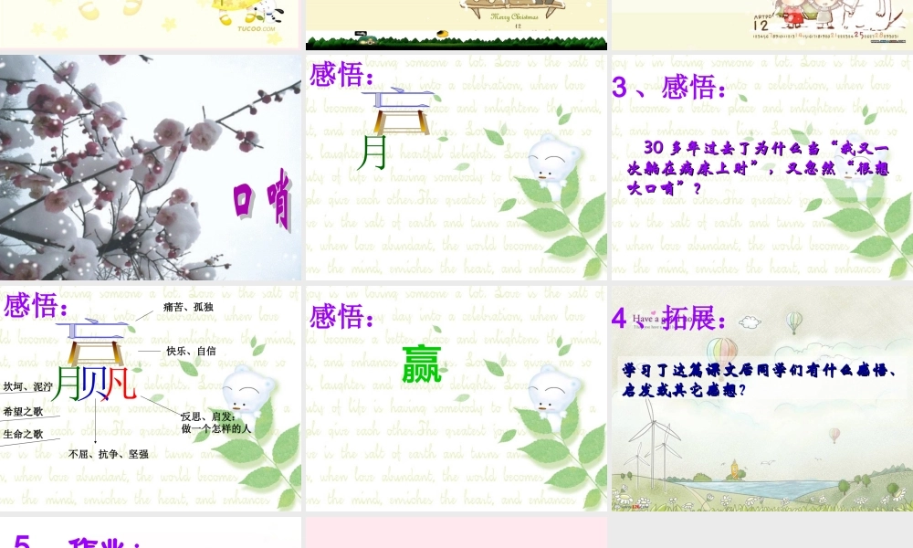 六年级语文上册 第7课《口哨》课件2 沪教版-沪教版小学六年级上册语文课件