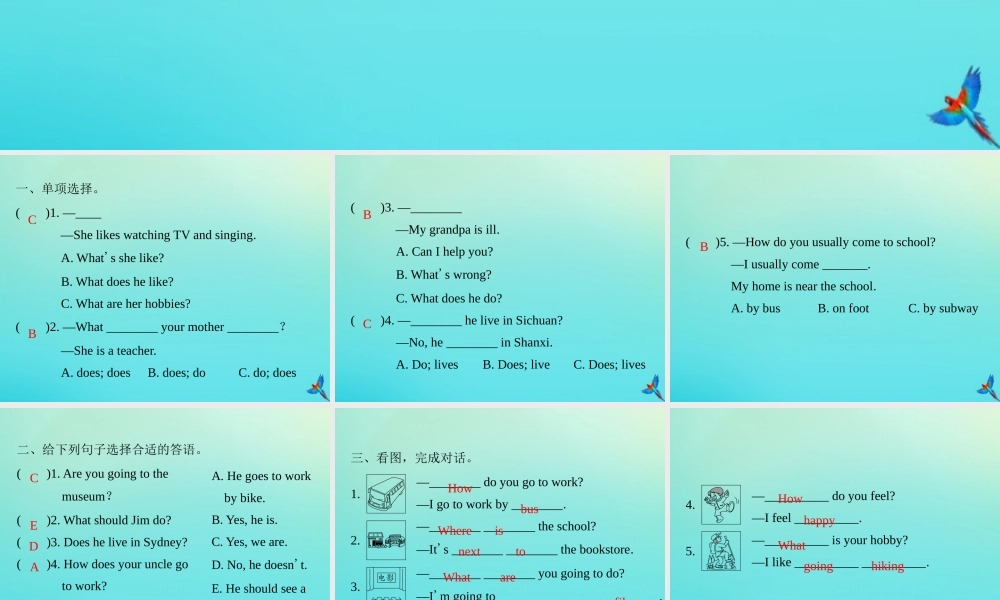 六年级英语上册 句子与交际专项复习习题课件 人教PEP版-人教PEP小学六年级上册英语课件