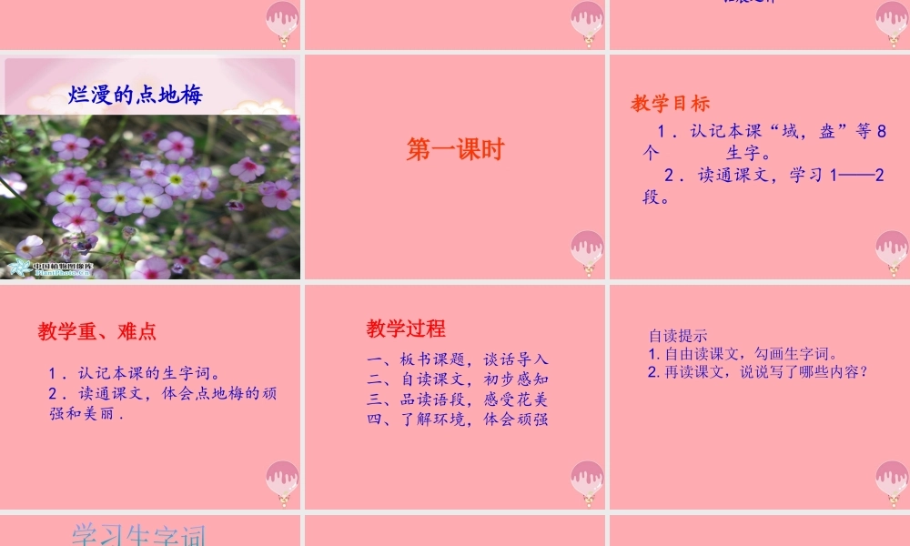 六年级语文上册 第9课 烂漫的点地梅课件1 西师大版-西师大版小学六年级上册语文课件