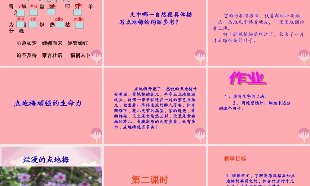六年级语文上册 第9课 烂漫的点地梅课件1 西师大版-西师大版小学六年级上册语文课件