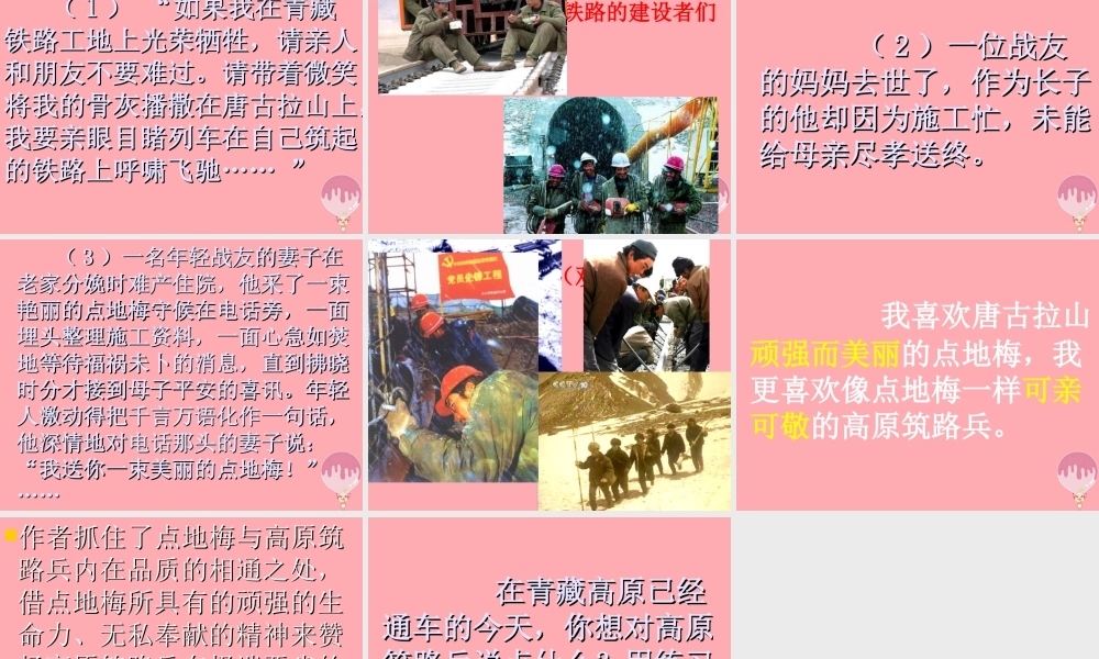 六年级语文上册 第9课 烂漫的点地梅课件2 西师大版-西师大版小学六年级上册语文课件