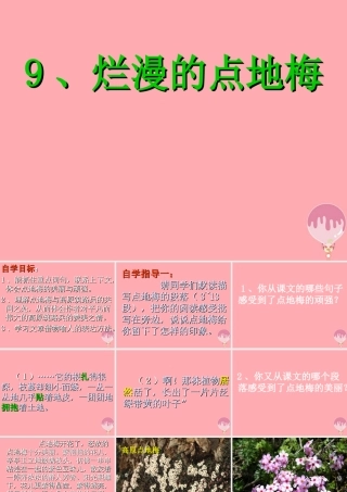 六年级语文上册 第9课 烂漫的点地梅课件2 西师大版-西师大版小学六年级上册语文课件