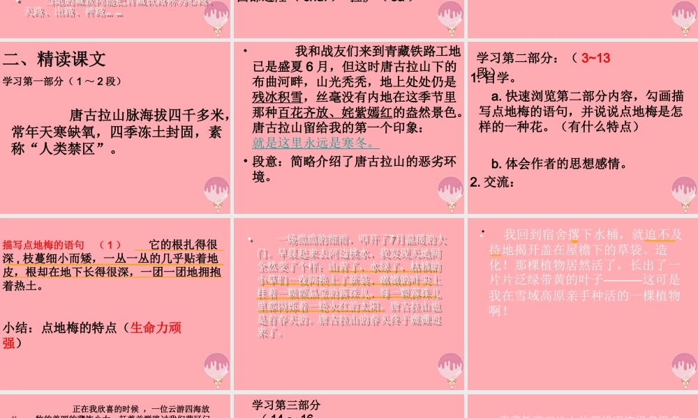 六年级语文上册 第9课 烂漫的点地梅课件4 西师大版-西师大版小学六年级上册语文课件