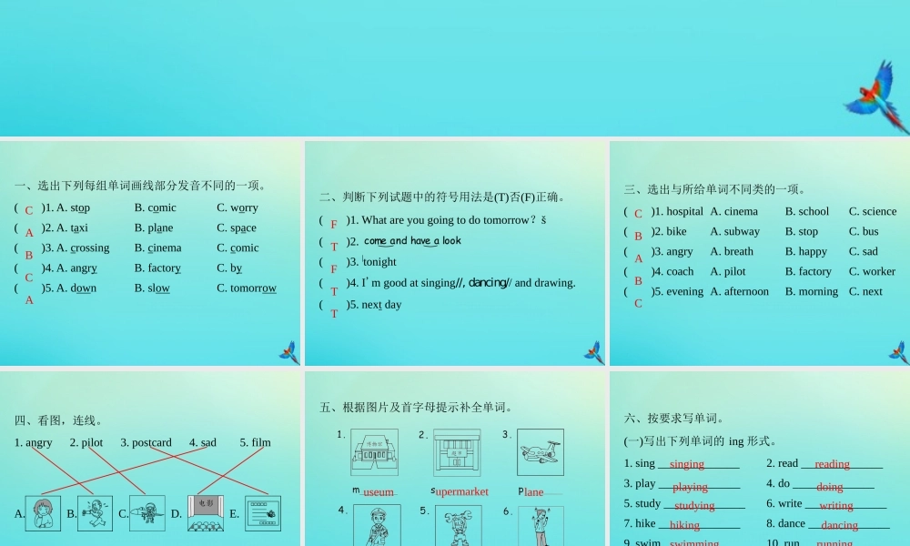 六年级英语上册 语音与词汇专项复习习题课件 人教PEP版-人教PEP小学六年级上册英语课件