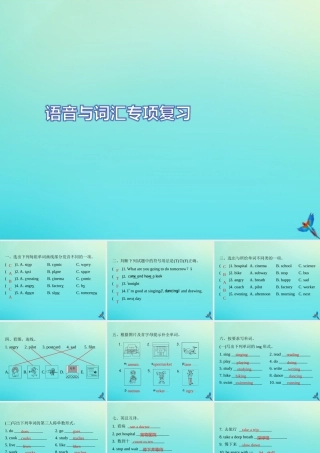 六年级英语上册 语音与词汇专项复习习题课件 人教PEP版-人教PEP小学六年级上册英语课件