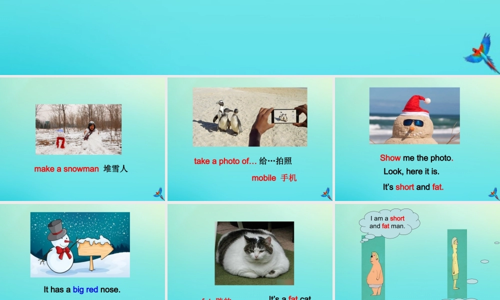 六年级英语下册 Unit 1 Winter Activities Part B课件3 闽教版（三起）-闽教版小学六年级下册英语课件