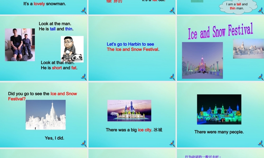 六年级英语下册 Unit 1 Winter Activities Part B课件3 闽教版（三起）-闽教版小学六年级下册英语课件