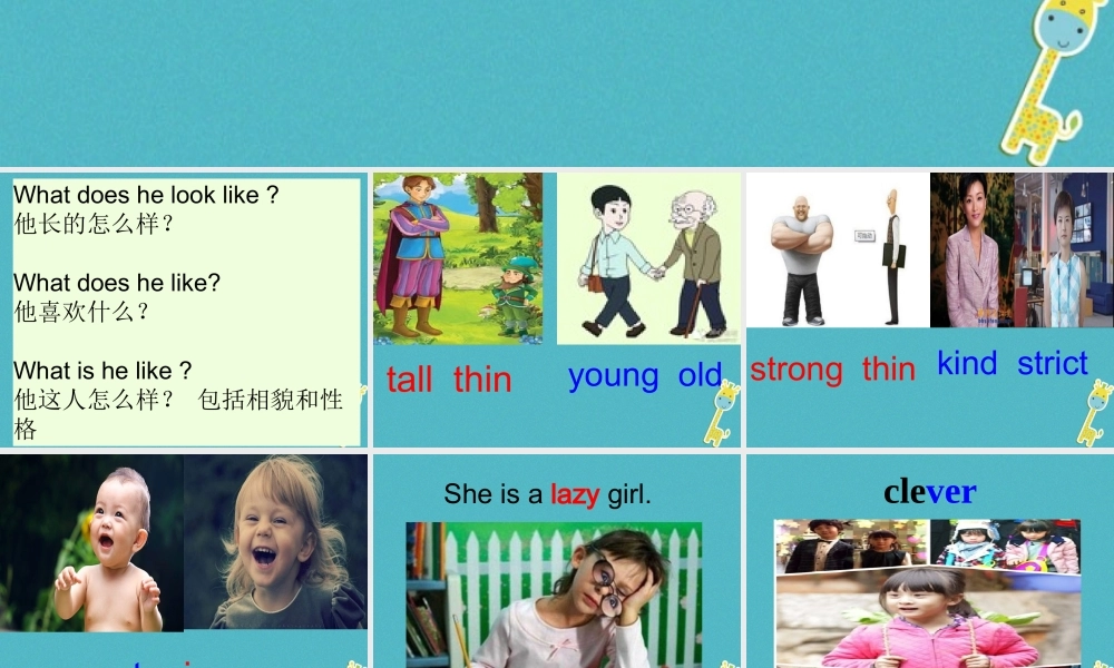 六年级英语下册 Unit 5 What Is he like课件2 陕旅版-陕旅版小学六年级下册英语课件