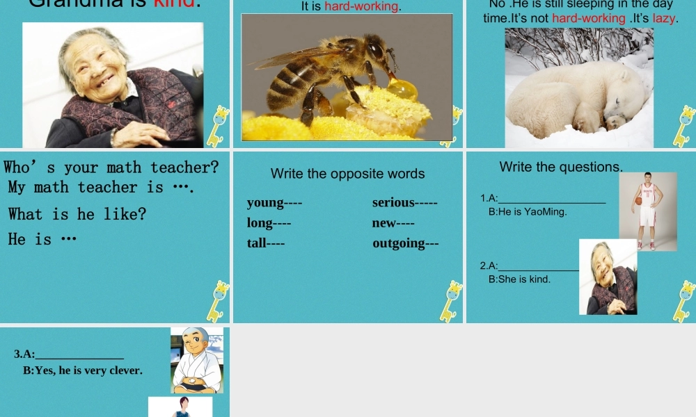 六年级英语下册 Unit 5 What Is he like课件2 陕旅版-陕旅版小学六年级下册英语课件