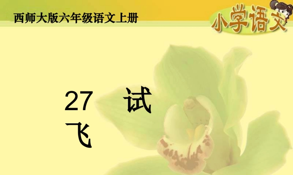 六年级语文上册 第27课 试飞课件3 西师大版-西师大版小学六年级上册语文课件