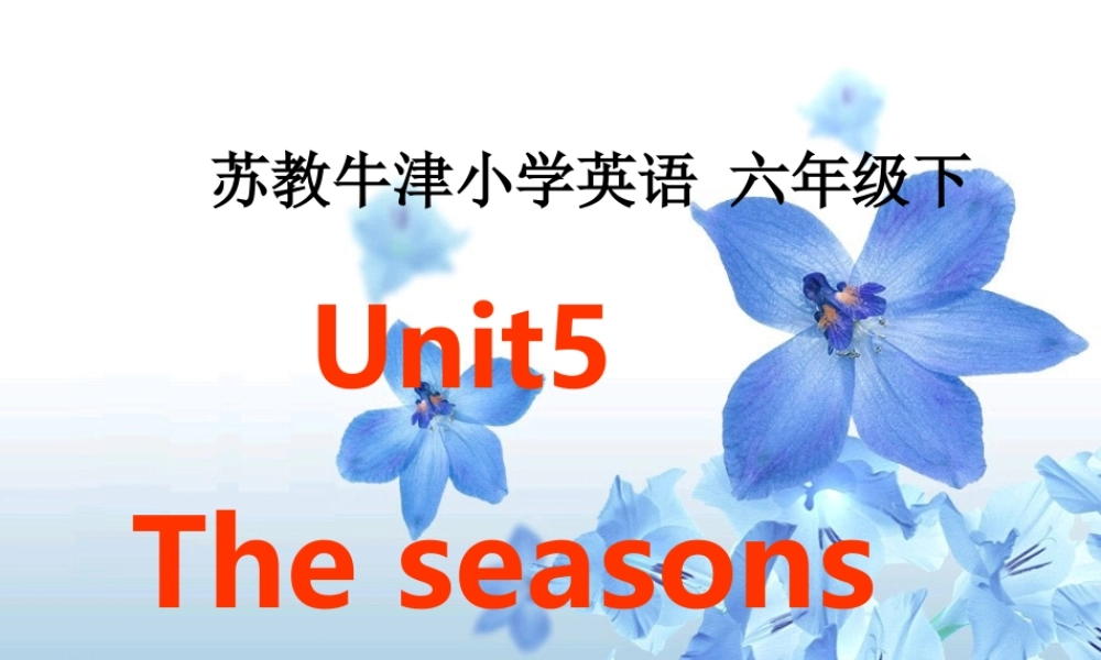 六年级英语下册 Unit 5(13)课件 苏教牛津版