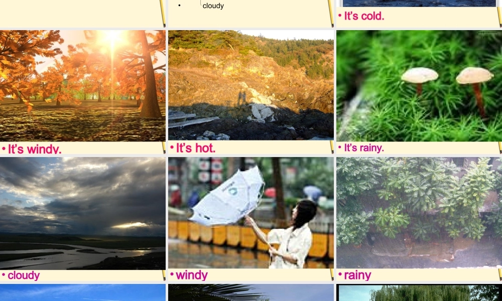 六年级英语下册 Unit 5(13)课件 苏教牛津版