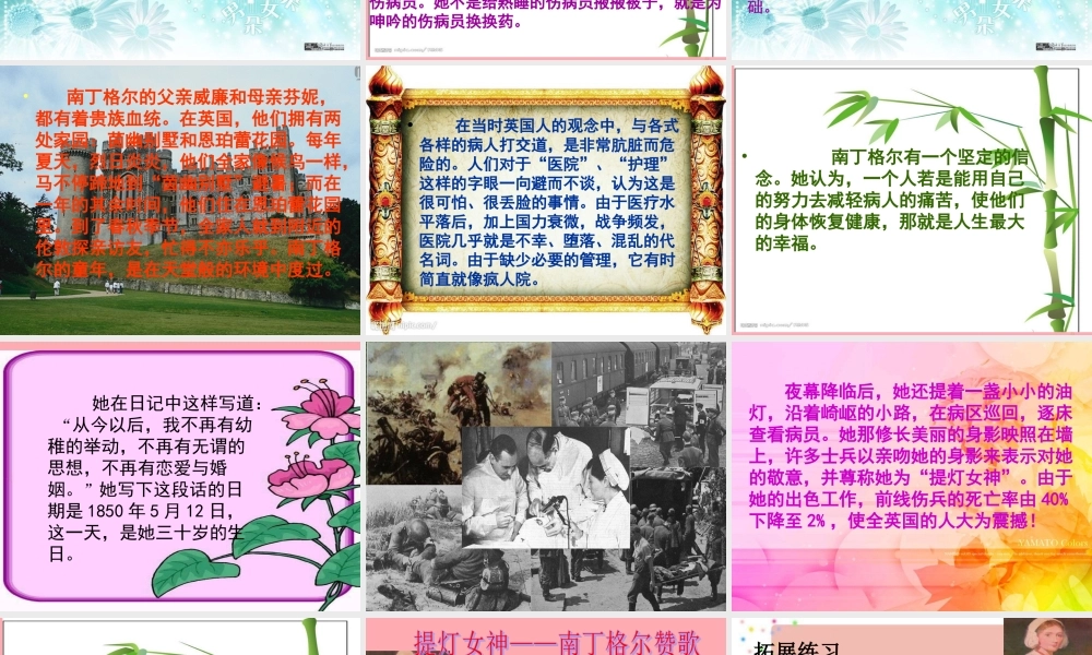六年级语文上册 第28课 提灯女神课件2 西师大版-西师大版小学六年级上册语文课件
