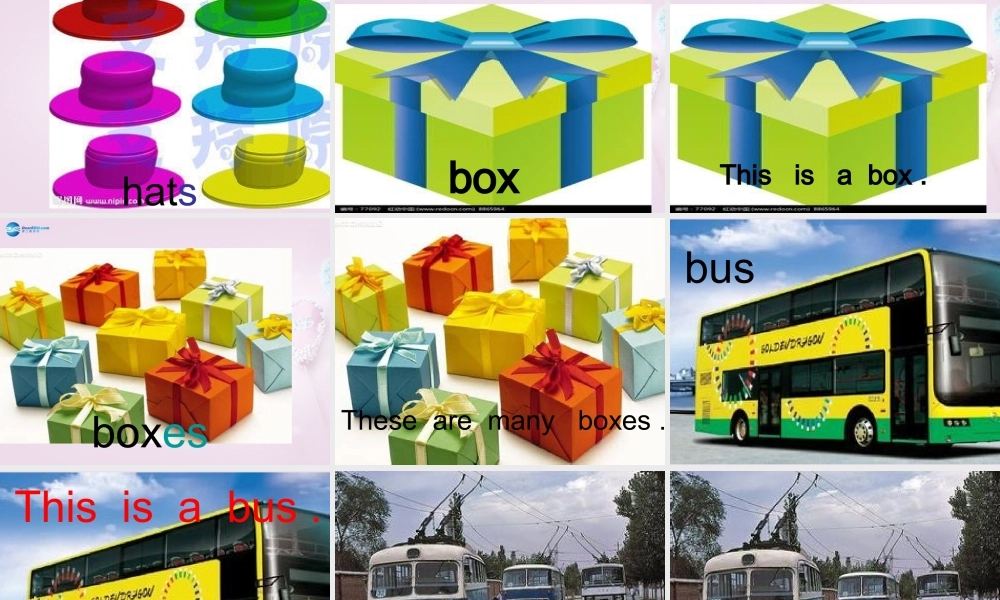 六年级英语上册《Lesson 10 How Many Are There》课件3 冀教版