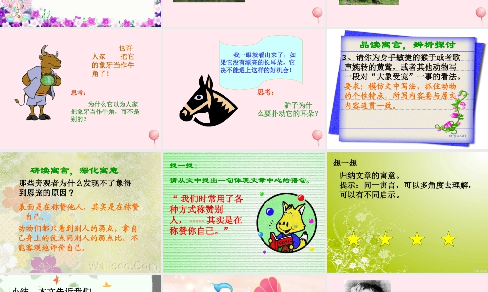 六年级语文上册 第30课《受宠的象》课件2 沪教版-沪教版小学六年级上册语文课件