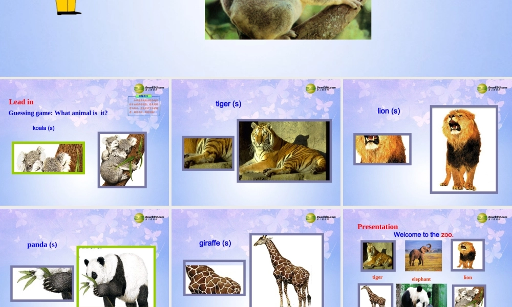 六年级英语下册 Unit 7 Why do you like pandas Section AB课件 鲁教版五四制