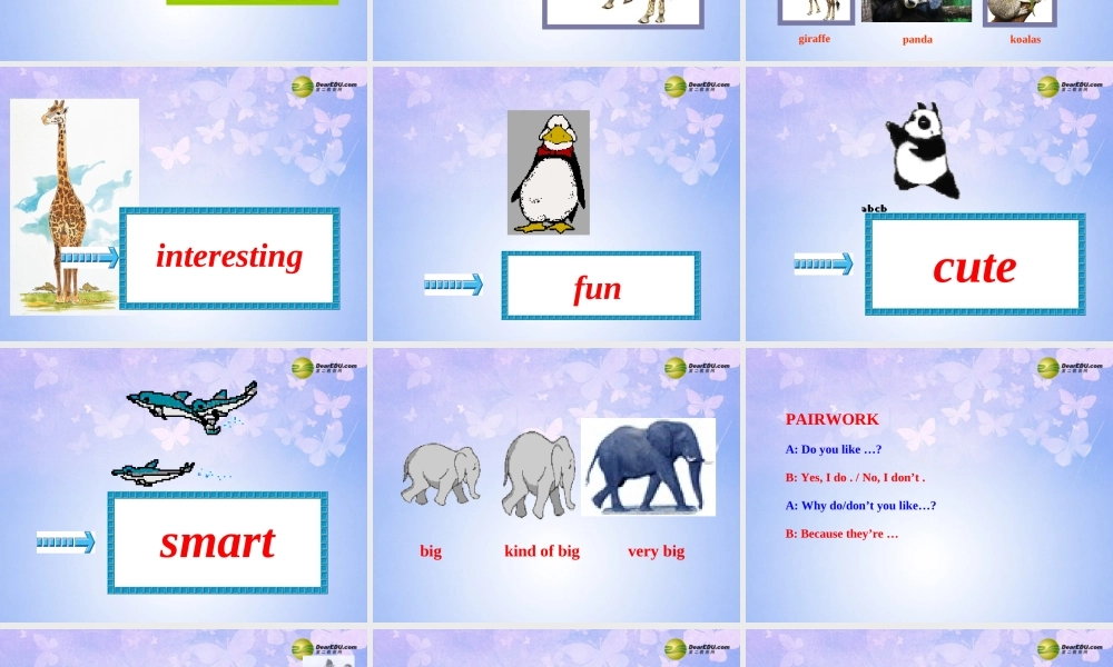 六年级英语下册 Unit 7 Why do you like pandas Section AB课件 鲁教版五四制