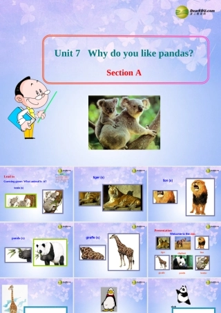 六年级英语下册 Unit 7 Why do you like pandas Section AB课件 鲁教版五四制