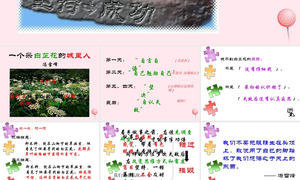 六年级语文上册 第32课《一个采白芷花的城里人》课件1 沪教版-沪教版小学六年级上册语文课件