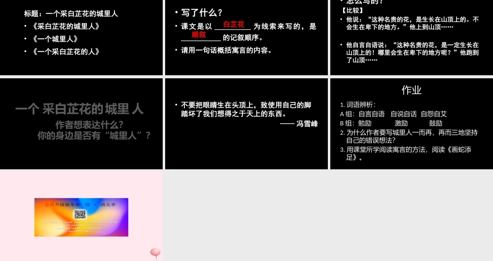 六年级语文上册 第32课《一个采白芷花的城里人》课件2 沪教版-沪教版小学六年级上册语文课件