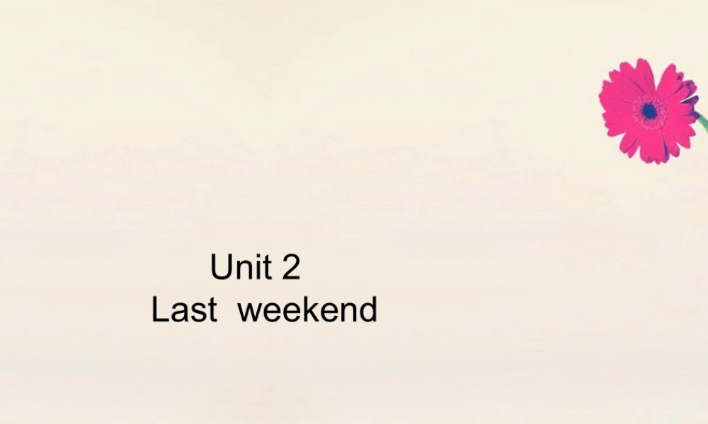 六年级英语下册 Unit 2 Last weekend Part A周末自主作业习题课件 人教PEP版-人教PEP小学六年级下册英语课件