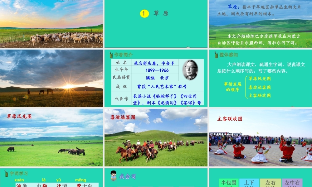 六年级语文上册 第一单元 1 草原课件