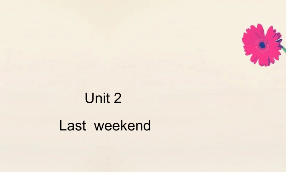 六年级英语下册 Unit 2 Last weekend Part B习题课件 人教PEP版-人教PEP小学六年级下册英语课件