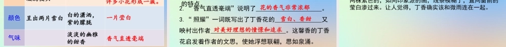 六年级语文上册 第一单元 2 丁香结课件 新人教版-新人教版小学六年级上册语文课件