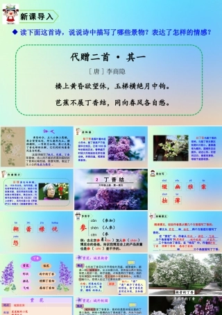 六年级语文上册 第一单元 2 丁香结课件 新人教版-新人教版小学六年级上册语文课件
