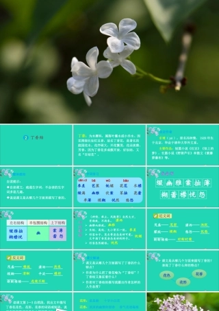 六年级语文上册 第一单元 2 丁香结课件