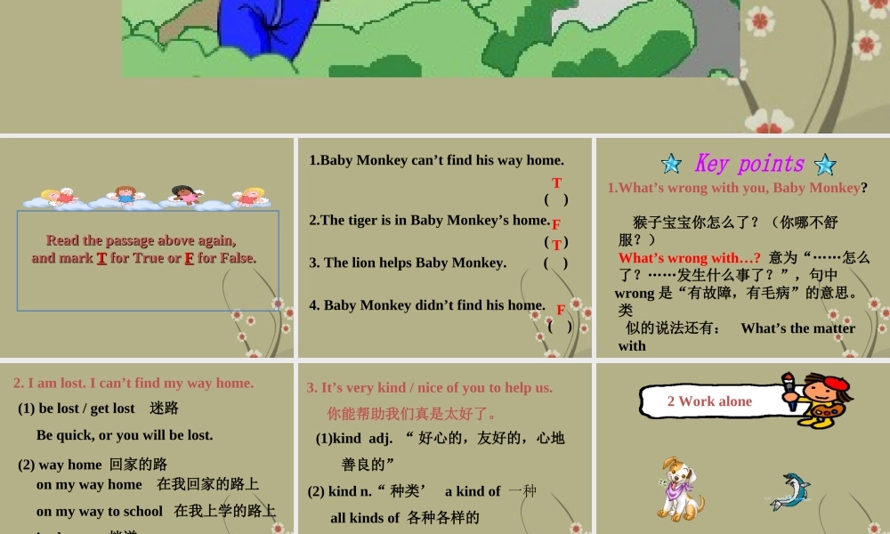 六年级英语下册 unit11（5）课件 北师大版