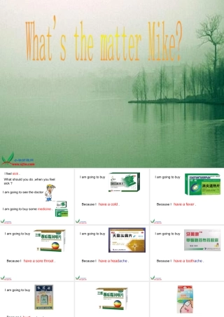 六年级英语下册 what’s the matter Mike课件 人教版pep