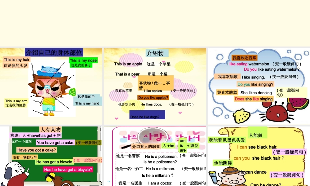 六年级英语下册 期末复习 一般疑问句课件 人教PEP