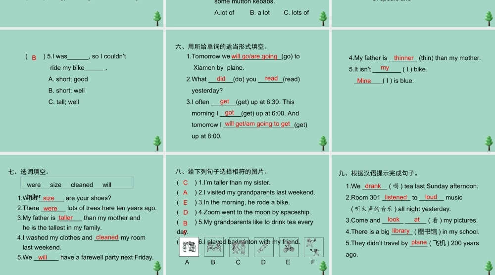 六年级英语下册 期末专题复习 词汇与句子专项复习习题课件 人教PEP版-人教PEP小学六年级下册英语课件