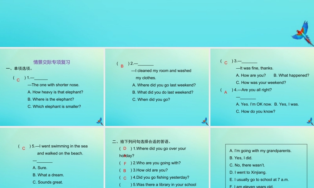 六年级英语下册 期末专题复习 情景交际专项复习习题课件 人教PEP版-人教PEP小学六年级下册英语课件