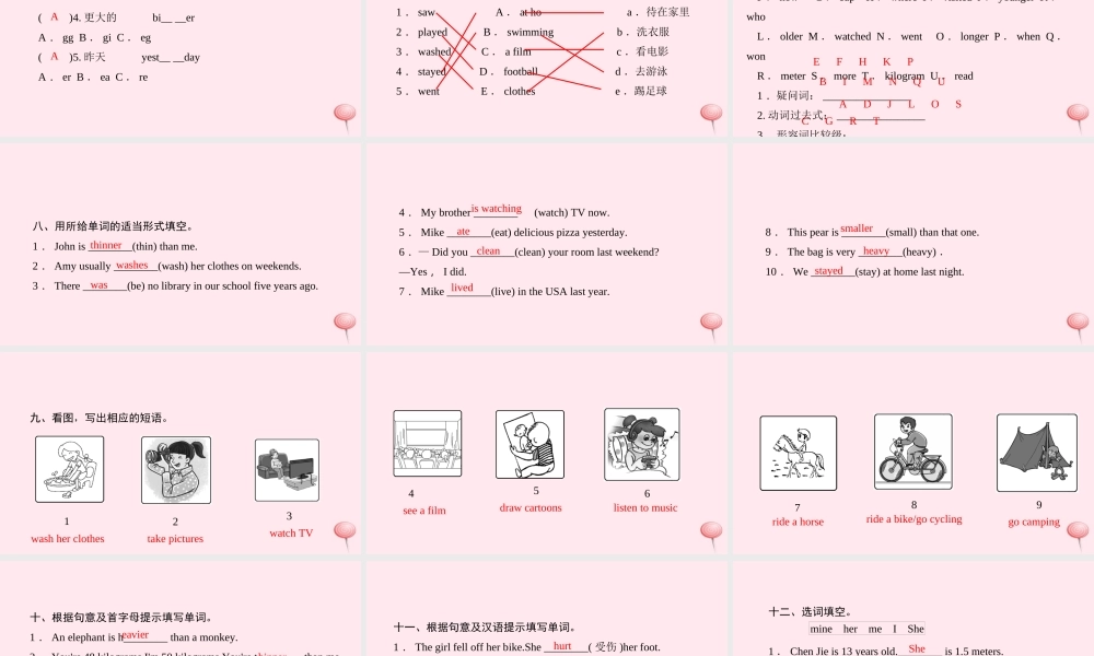 六年级英语下册 专项训练(一)词汇习题课件 人教PEP版-人教PEP小学六年级下册英语课件