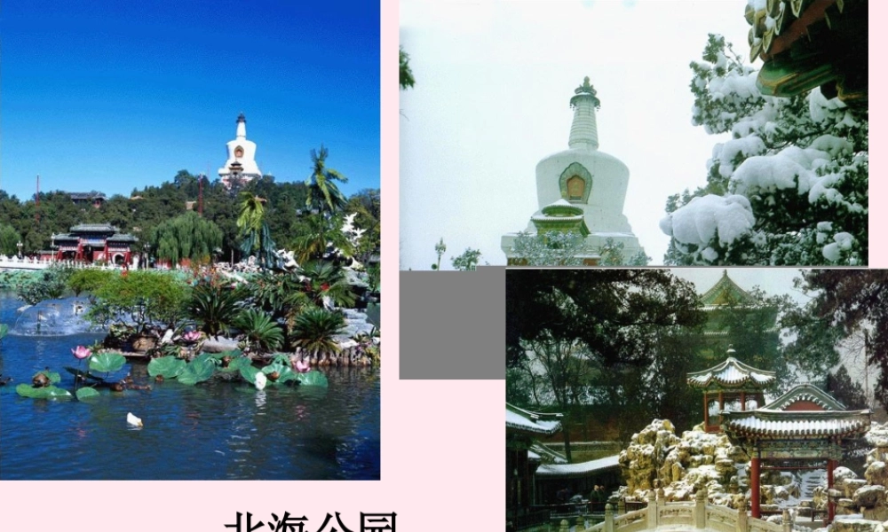 六年级语文上册 第一单元 2《枣核》课件 北京版-北京版小学六年级上册语文课件